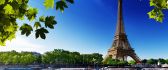 Summer holiday in Paris - Eiffel Tower