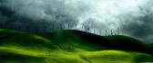 Entire green field full of windmills - nature wallpaper