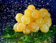 Fresh fruits - water drops over the yellow grapes
