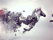 Digital art - beautiful zebra - free HD wallpaper