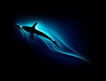 Family of sharks - abstract HD wallpaper