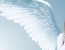 Beautiful white wings of a sad angel