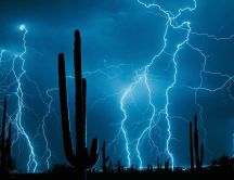 Wonderful force of nature - lightnings in the desert