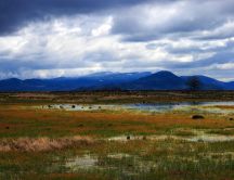 A swampy field in the foothills - HD nature wallpaper