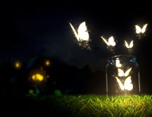 Glowing butterflies lighting in the dark - HD wallpaper
