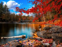 Beautiful autumn color - red leaves and wonderful lake
