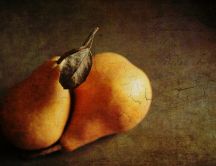 Wonderful fruit paint - delicious autumn pears