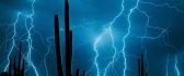 Wonderful force of nature - lightnings in the desert