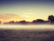 A barrier of fog early in the morning - HD wallpaper