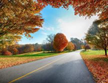 Road in nature - beautiful autumn landscape