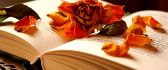 Autumn flowers in a book of memories