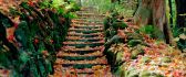 Steps full of cooper colored leaves - autumn season