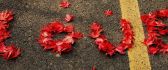 Love message on the road - red autumn leaves