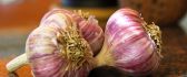 Natural garlic for magic food - HD wallpaper