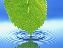 Water waves with a green leaf - HD wallpaper