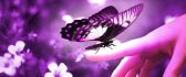 The love of a Butterfly - HD purple wallpaper