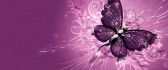 Wonderful purple wings of a butterfly - HD wallpaper