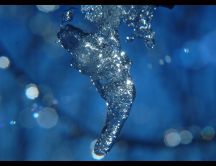 Macro water crystal - beautiful wonders of the nature