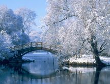 Winter time - bridge over the froze lake