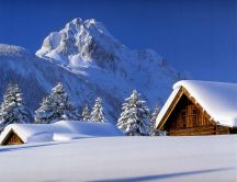 Mountain top full with snow - white winter wallpaper