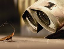 Wall-E and his little friend - the cockroach