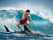 Extreme sports - surfing on a shark