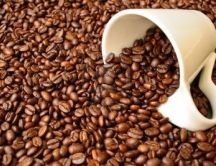 Perfect coffee beans for a perfect drink - HD wallpaper