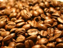 Roasted coffee beans - HD wallpaper