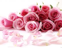 Beautiful pink bouquet of roses - Love moments