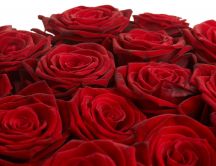 Beautiful bouquet of red roses with velvet petals