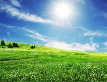 The smile of sun over the beautiful nature - HD wallpaper