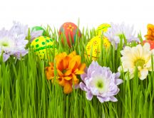 Colored eggs hidden in the grass - Happy Easter Holiday