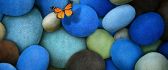 Little orange butterfly on the blue rocks - HD wallpaper