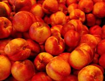 Hundreds of delicious peaches - eat healthy