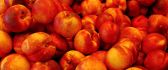 Hundreds of delicious peaches - eat healthy