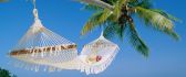 Hammock tied to a palm - relaxing time at the seaside