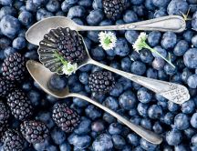 Hundreds of blueberries - Fruits full of vitamins