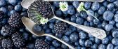 Hundreds of blueberries - Fruits full of vitamins