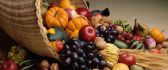 Fruits and vegetables - autumn season