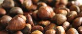 Delicious roasted chestnuts - HD autumn fruits
