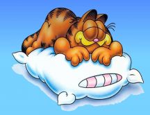 Sleepy Garfield on a fluffy white pillow