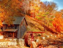 Old watermill in the middle of the forest - Autumn season