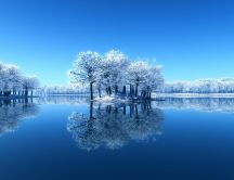 Frozen trees mirror in the lake - HD wallpaper