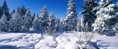 Shiny snow in the sunlight - HD winter wallpaper