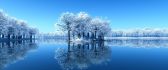 Frozen trees mirror in the lake - HD wallpaper