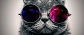 Abstract wallpapers - Retro glasses and a grey cat