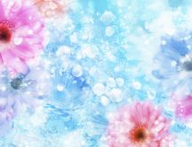 Flowers and crystals in the water - HD spring wallpaper