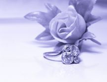 White and grey photo - wedding ring and a rose