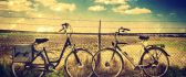 I love bicycles - HD romantic meet