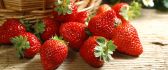 Delicious summer fruits - sweet strawberries